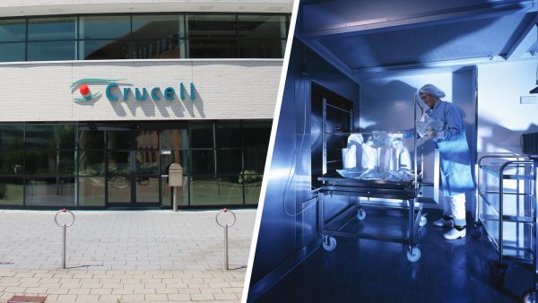 crucell leiden biotech