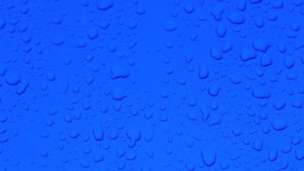 blue monday