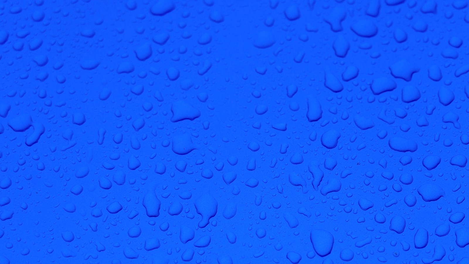 blue monday