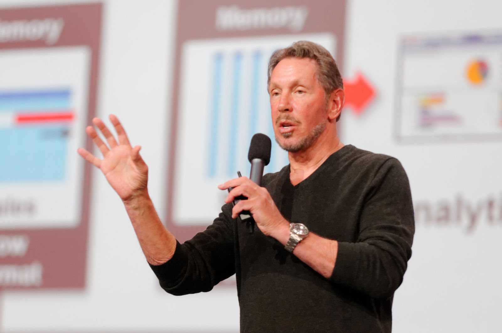 larry ellison oracle