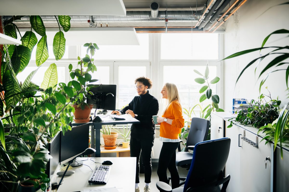 voordelen planten op kantoor