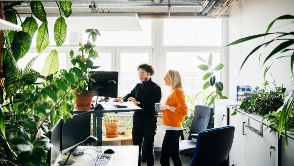 voordelen planten op kantoor