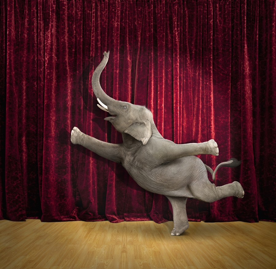 PostNL: de olifant die leerde dansen