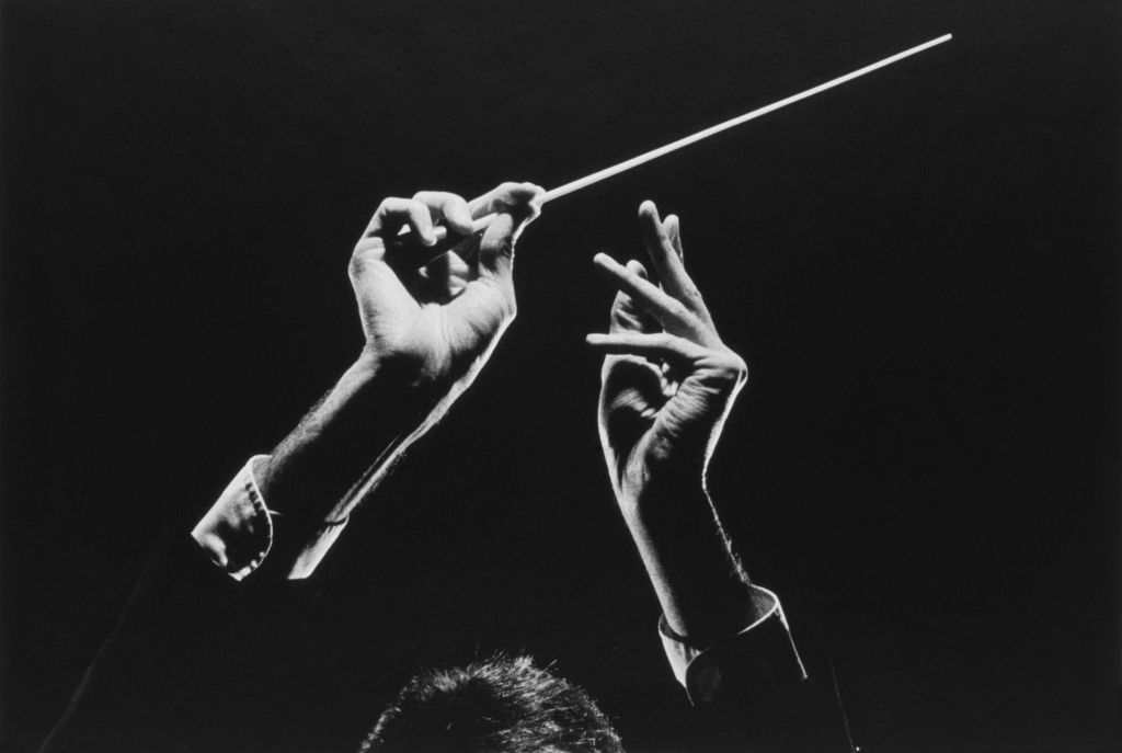 Ons brein heeft eigenlijk twee verschillende dirigenten, stelt burn-outcoach Rudi Francken. Het adaptieve gedeelte en het automatische gedeelte, die vechten om besturing van je brein. Maar wie trekt aan welke touwtjes?