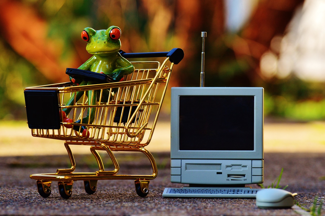 webshop groeien