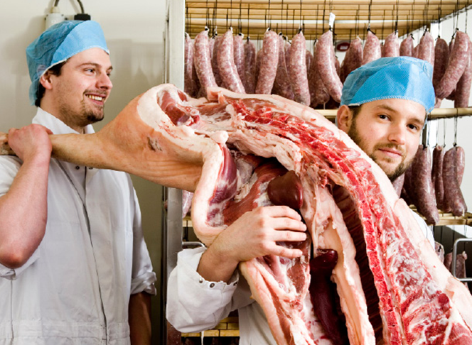 brandt en levie italie