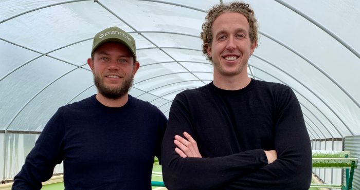 Nederlandse ondernemers halen miljoenen op bij Kellogg&#8217;s om eiwit uit eendenkroos groot te maken