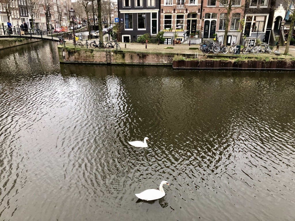 Amsterdam, corona