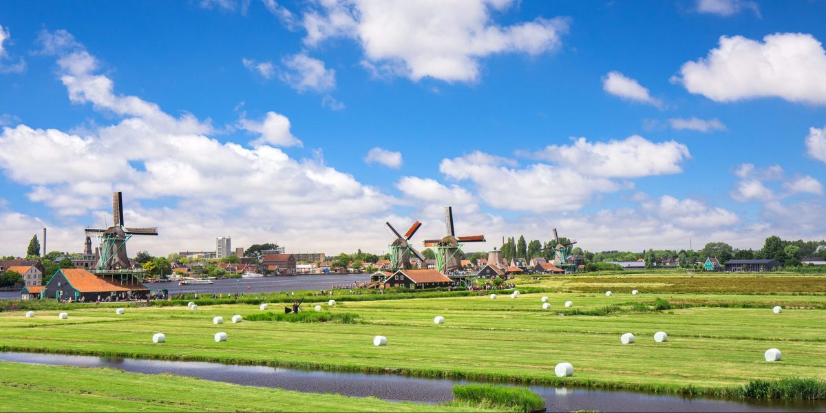 nederland weiland molens