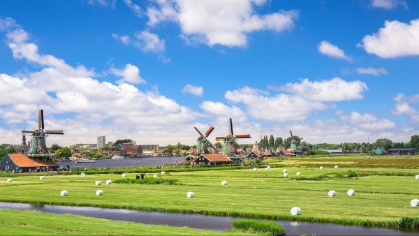 nederland weiland molens