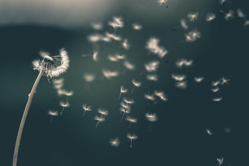 Mentale gezondheid