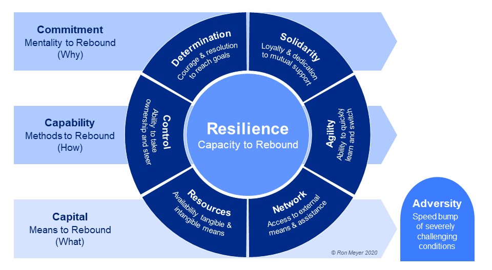Vergroot je financiele veerkracht met het Rebound Model of Resilience