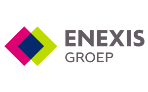 enexis logo