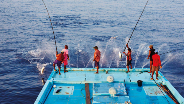 Fish Tales entert de VS met duurzame tonijn in blik en mikt op 100 miljoen omzet