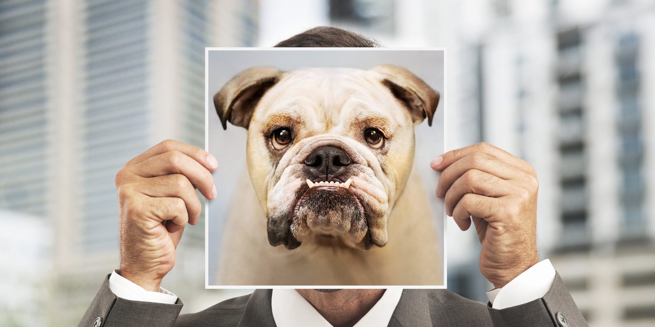 man met foto van bulldog