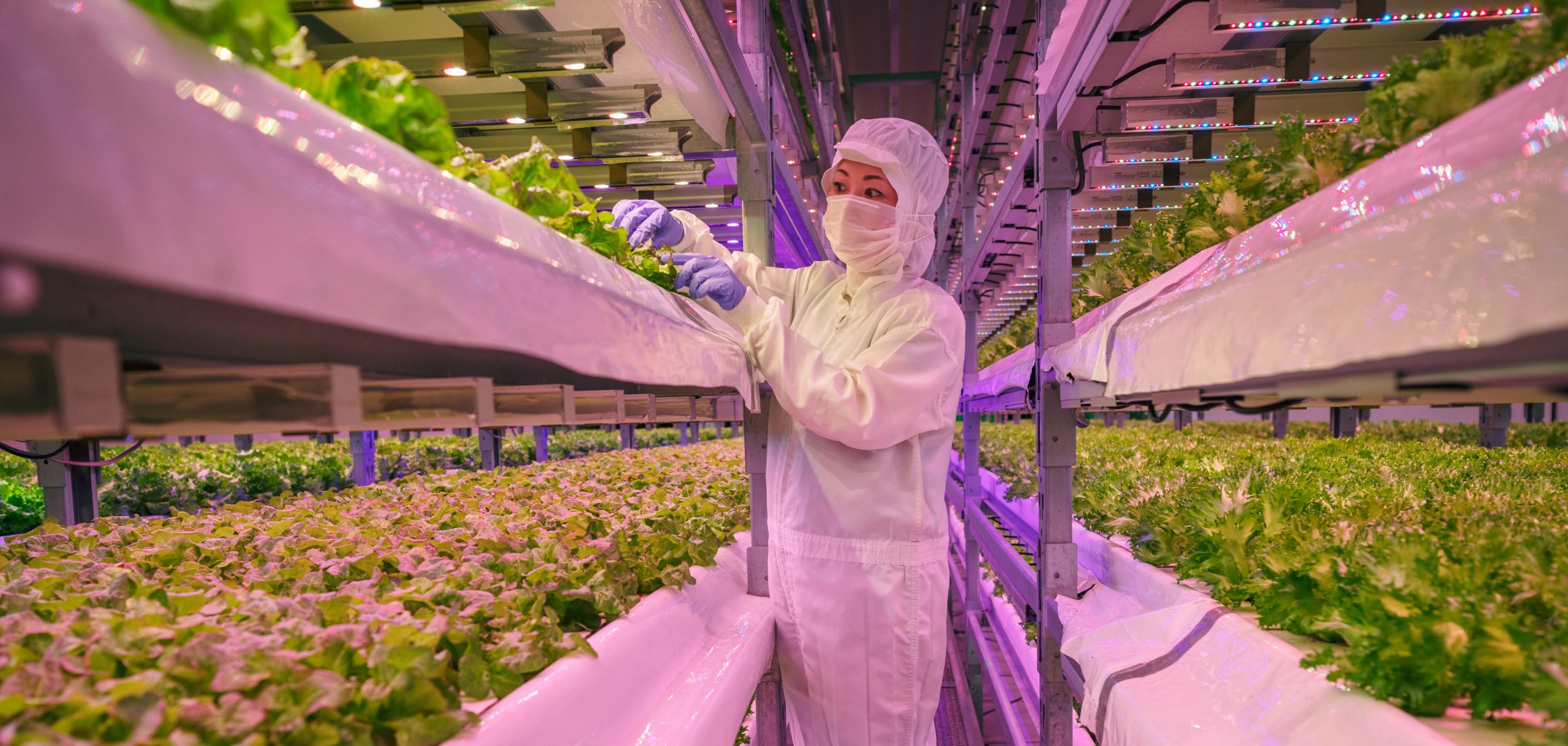 vertical farming