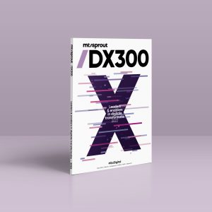 DX300 2020