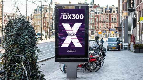 DX300 partners