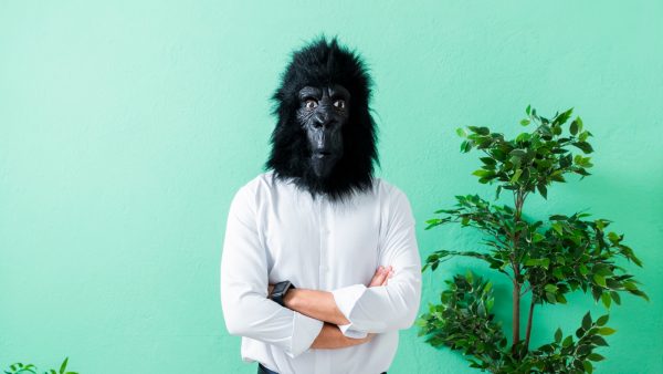 macht van de manager gorilla