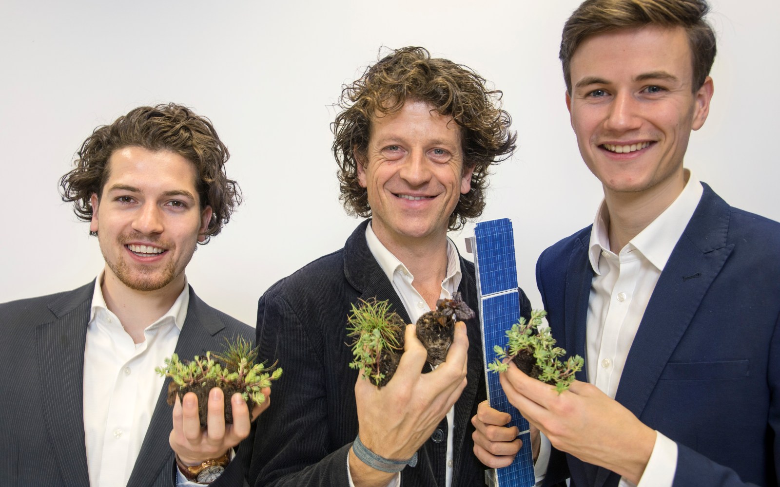 groen dak met zonnepanelen solar sedum