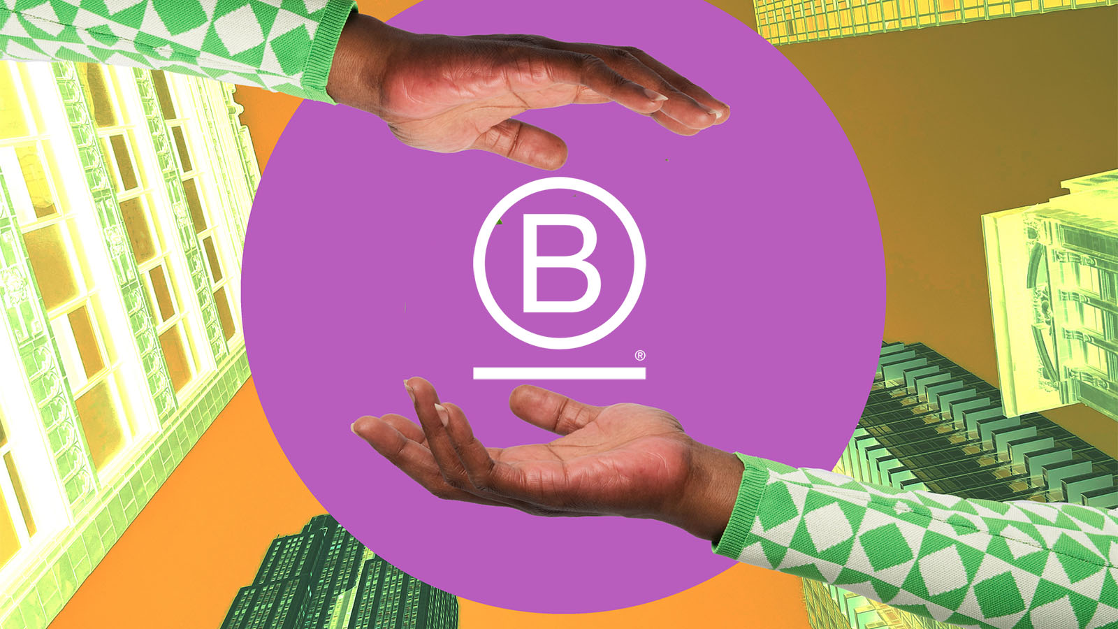 b corp nederland tessa van soest