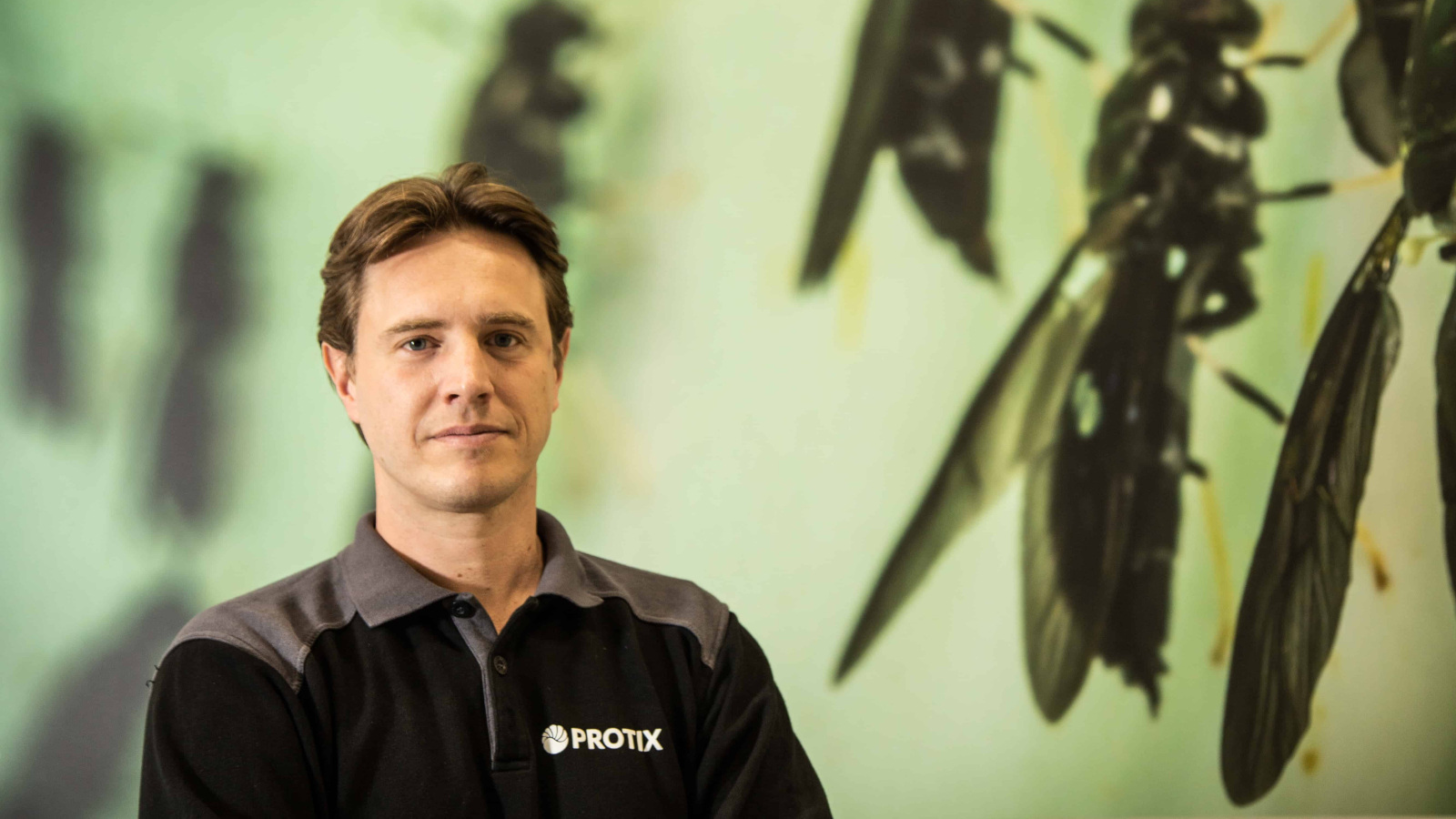 protix kees aarts insecten kweken