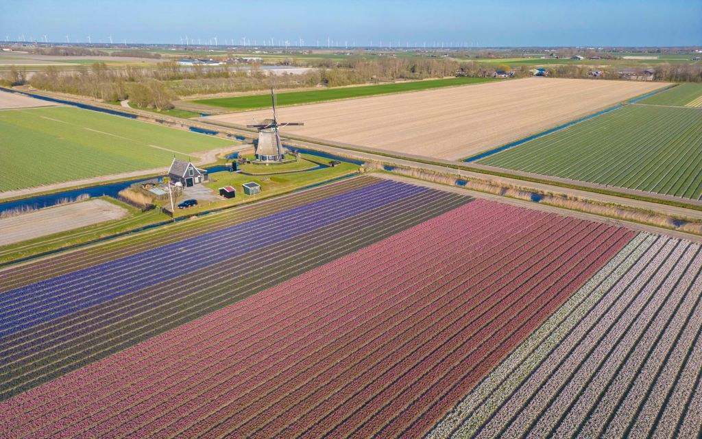 poldermodel nederland