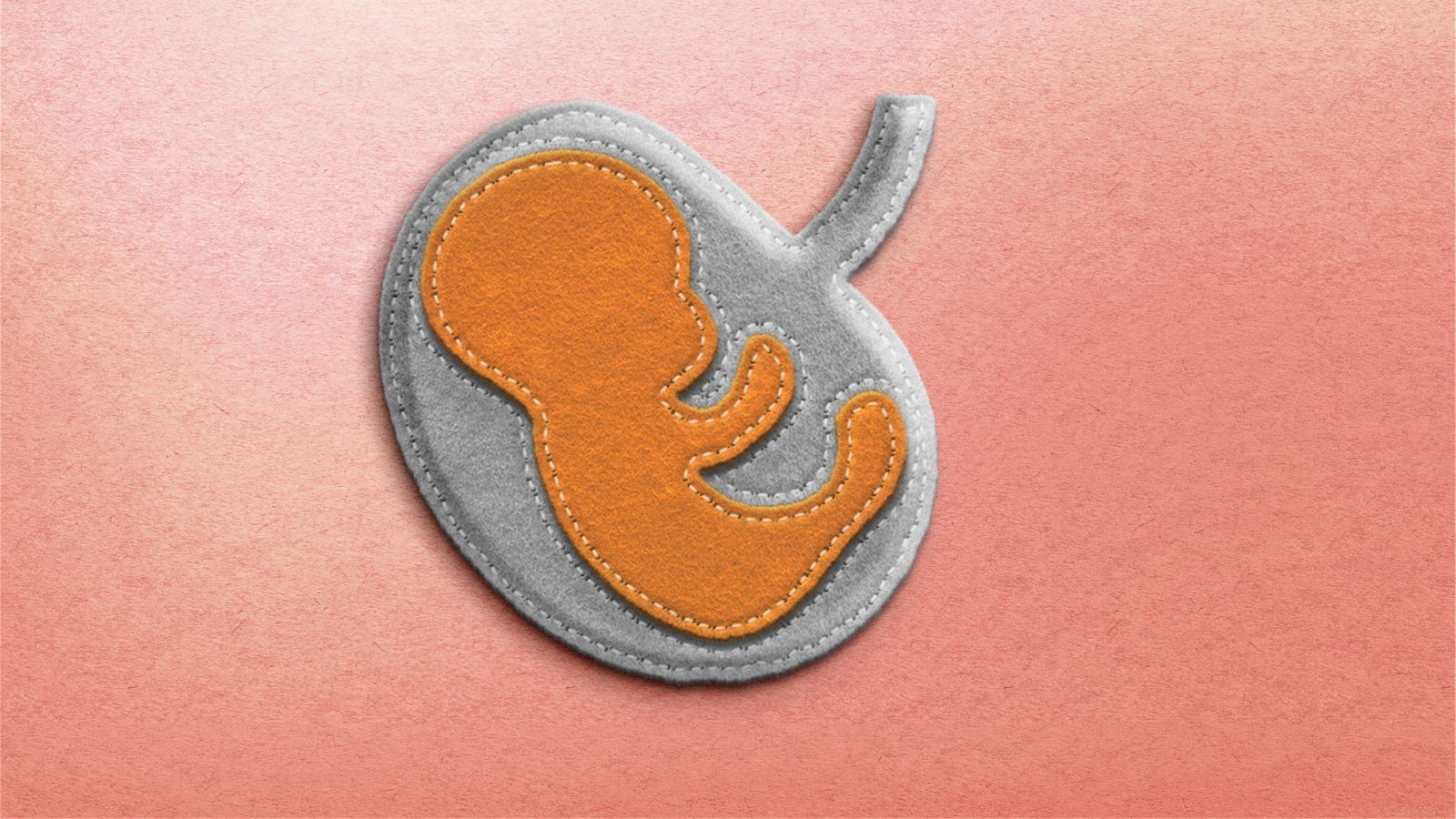 biologische klok vrouwen kinderwens