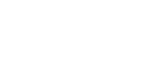 Teamleader logo wit