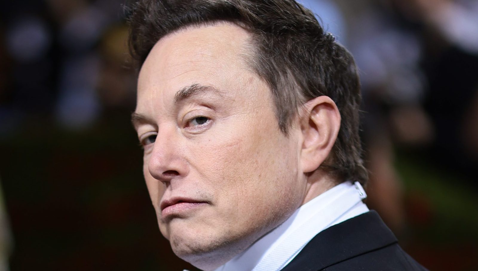 elon musk neuralink
