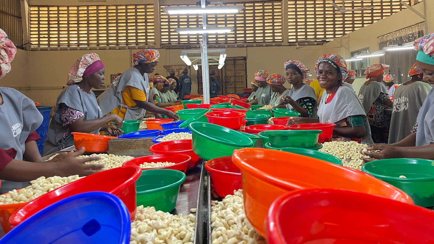johnny cashew fabriek tanzania