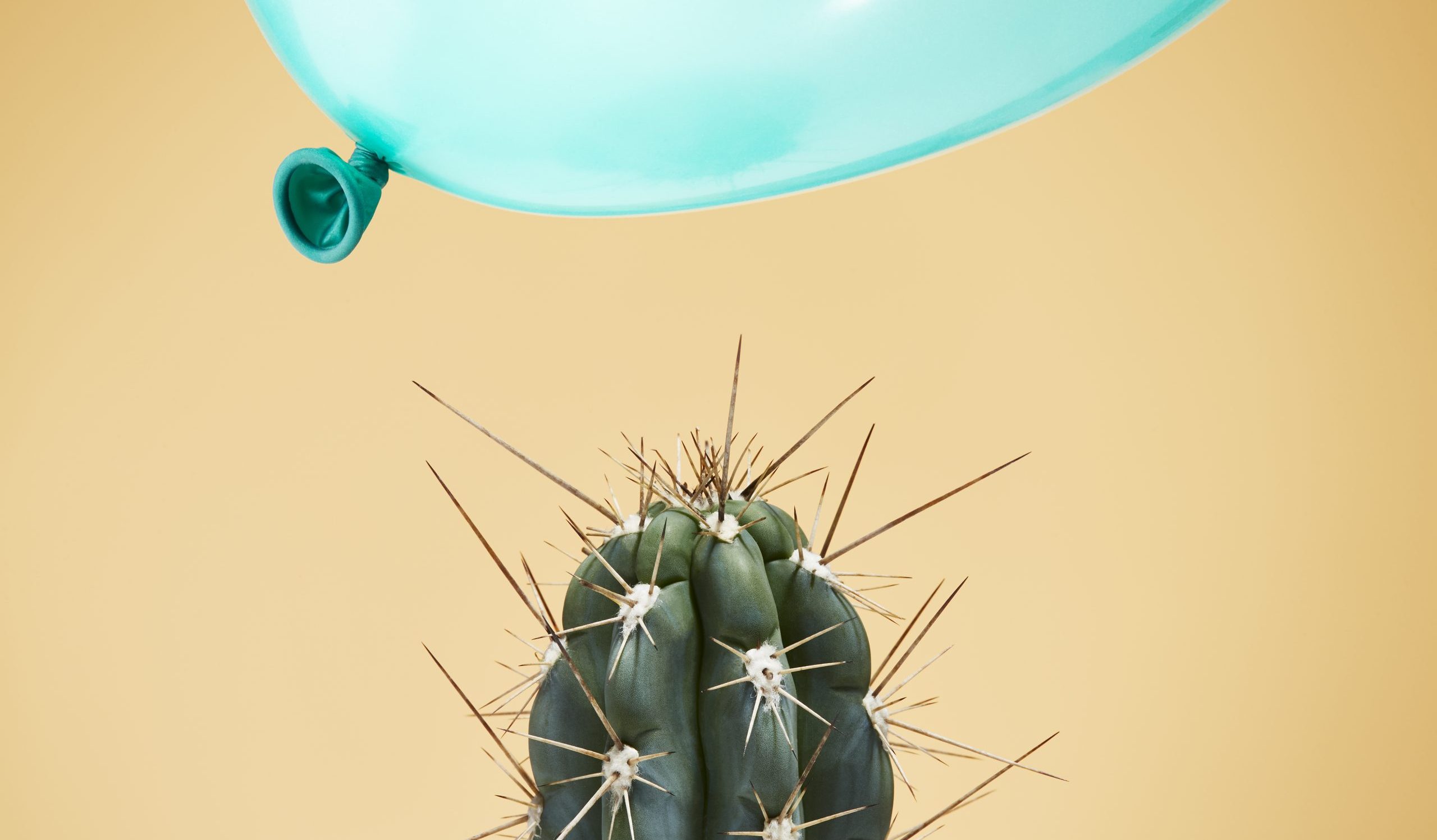startups sociale missie