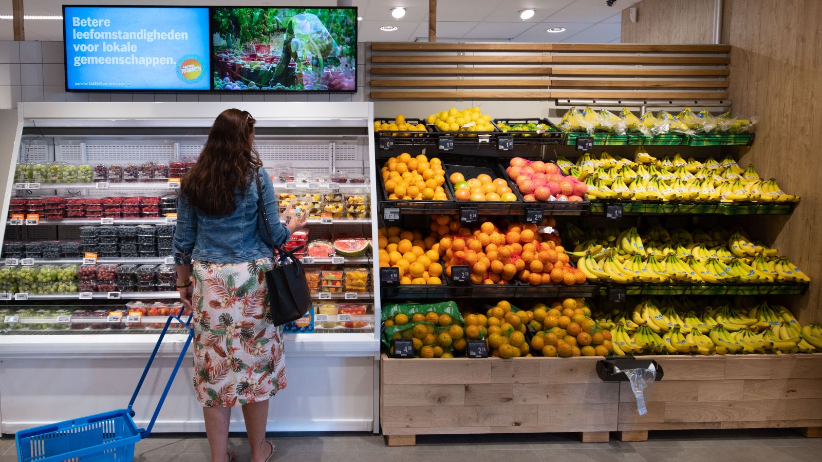 albert heijn