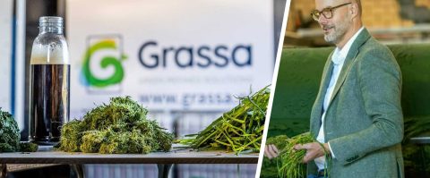 Grassa haalt eiwitten uit grasvoer en pakt zo mestprobleem aan: ‘Koe stoot tot 30 procent minder stikstof uit’