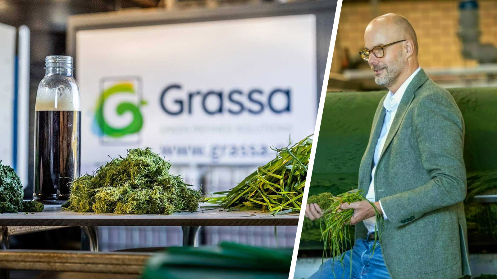 grassa rieks smook