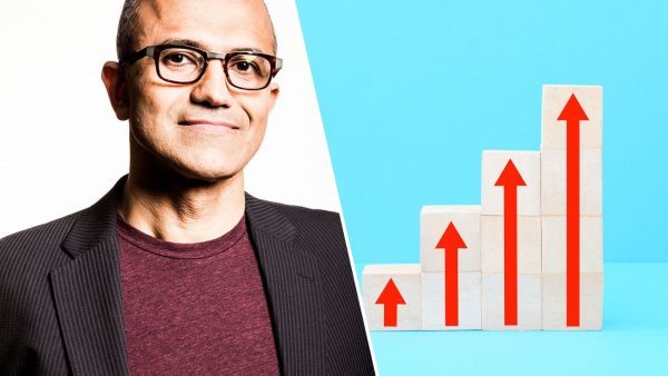 BVO Steve Nadella lerende organisatie