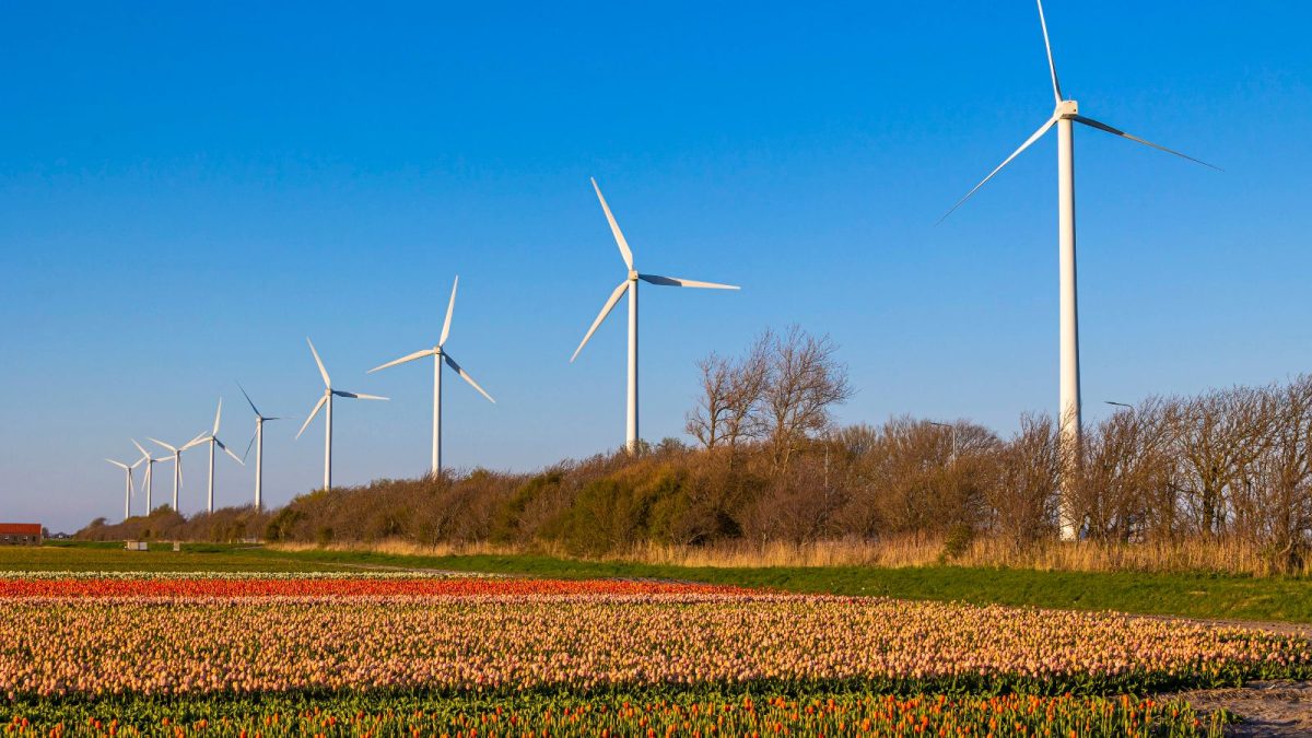 windmolens nederland elektriciteit biedzones