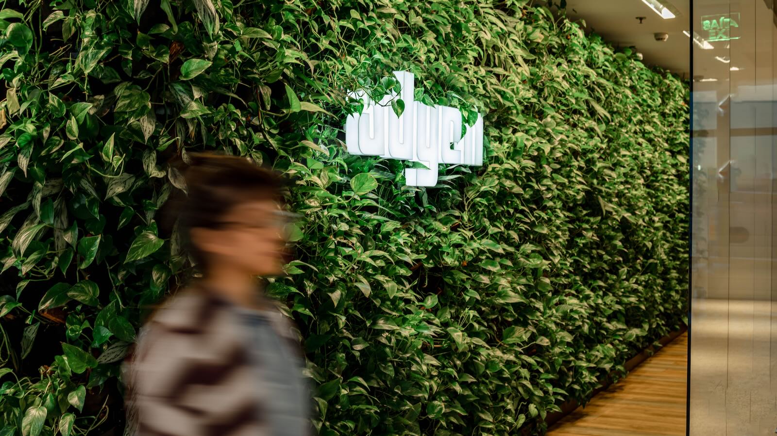 adyen cyberaanval