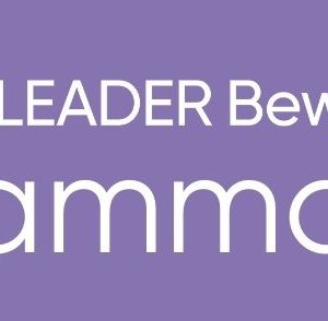 Programma BLB 2026