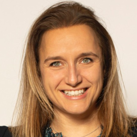 hanneke ter velde dll