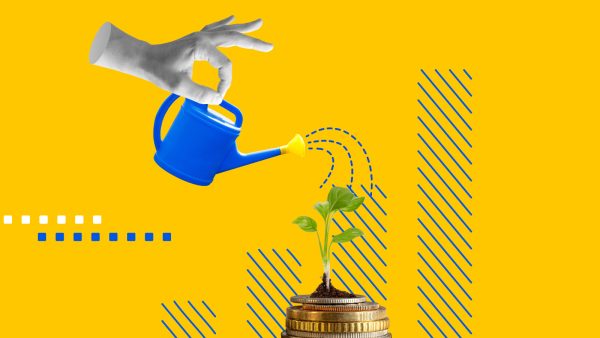 seed capital regeling rvo startups