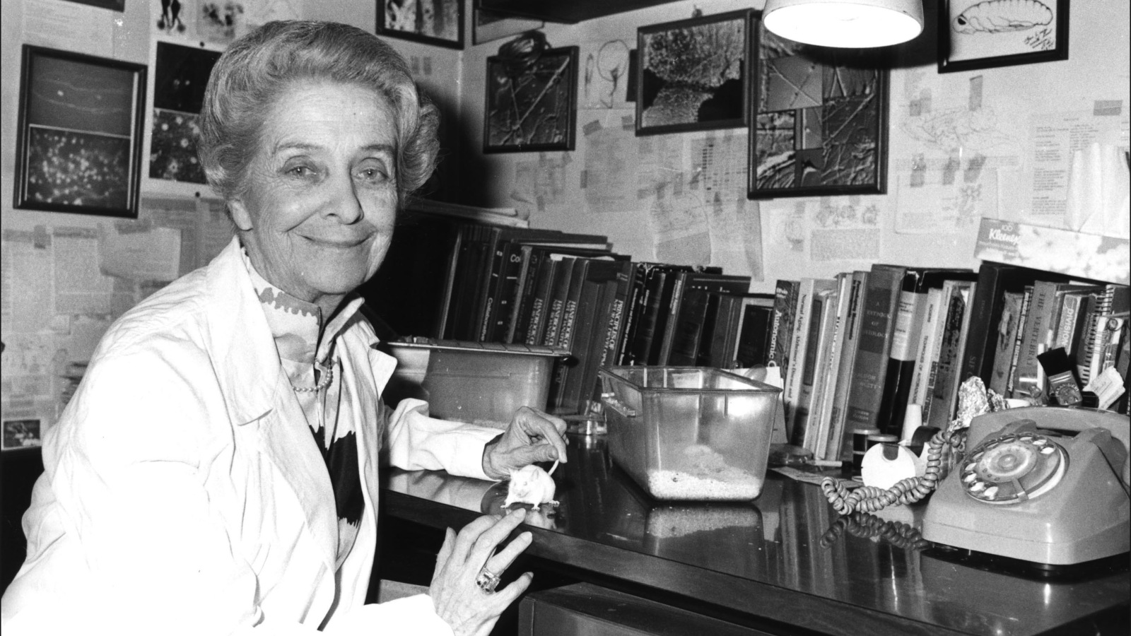 Rita Levi-Montalcini