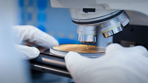 ai deltaplan nederland economie