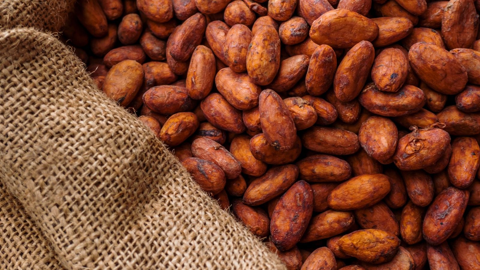 Impactmerken als The Good Roll en Bakers & Bananas stellen hun duurzame toeleveringsketen beschikbaar voor de hele industrie