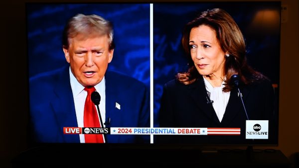 trump-harris
