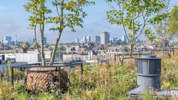 The Urban Jungle Project