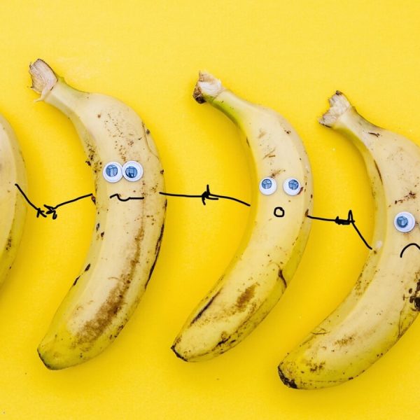humor-leiders